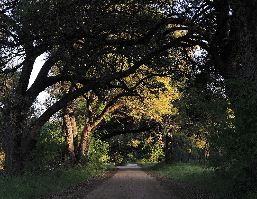 County Road Llano County_160414_7442